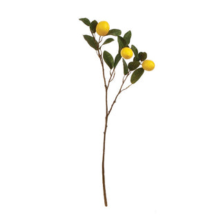 Lemon Branch