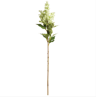 Mini Berries Stem