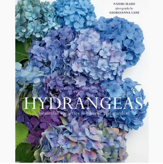 Hydrangeas: Beautiful Varieties For Home & Garden